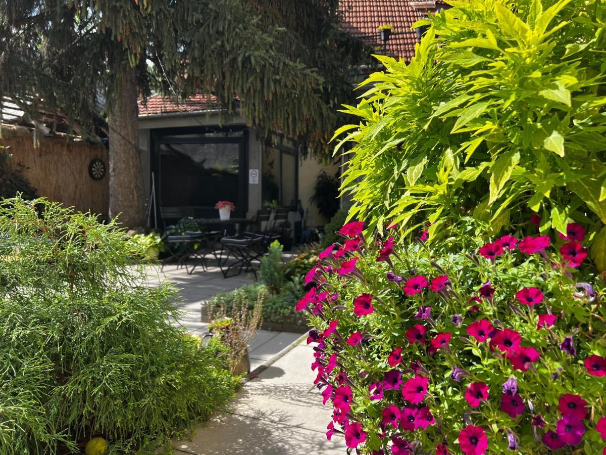Margareta Garden & Spa エゲル エクステリア 写真